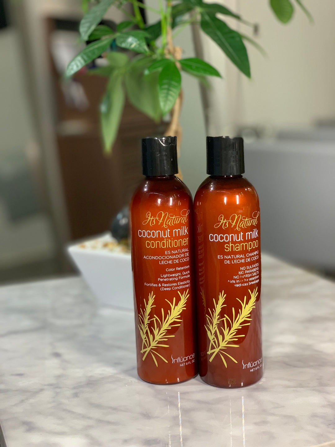 Coconut Milk Shampoo